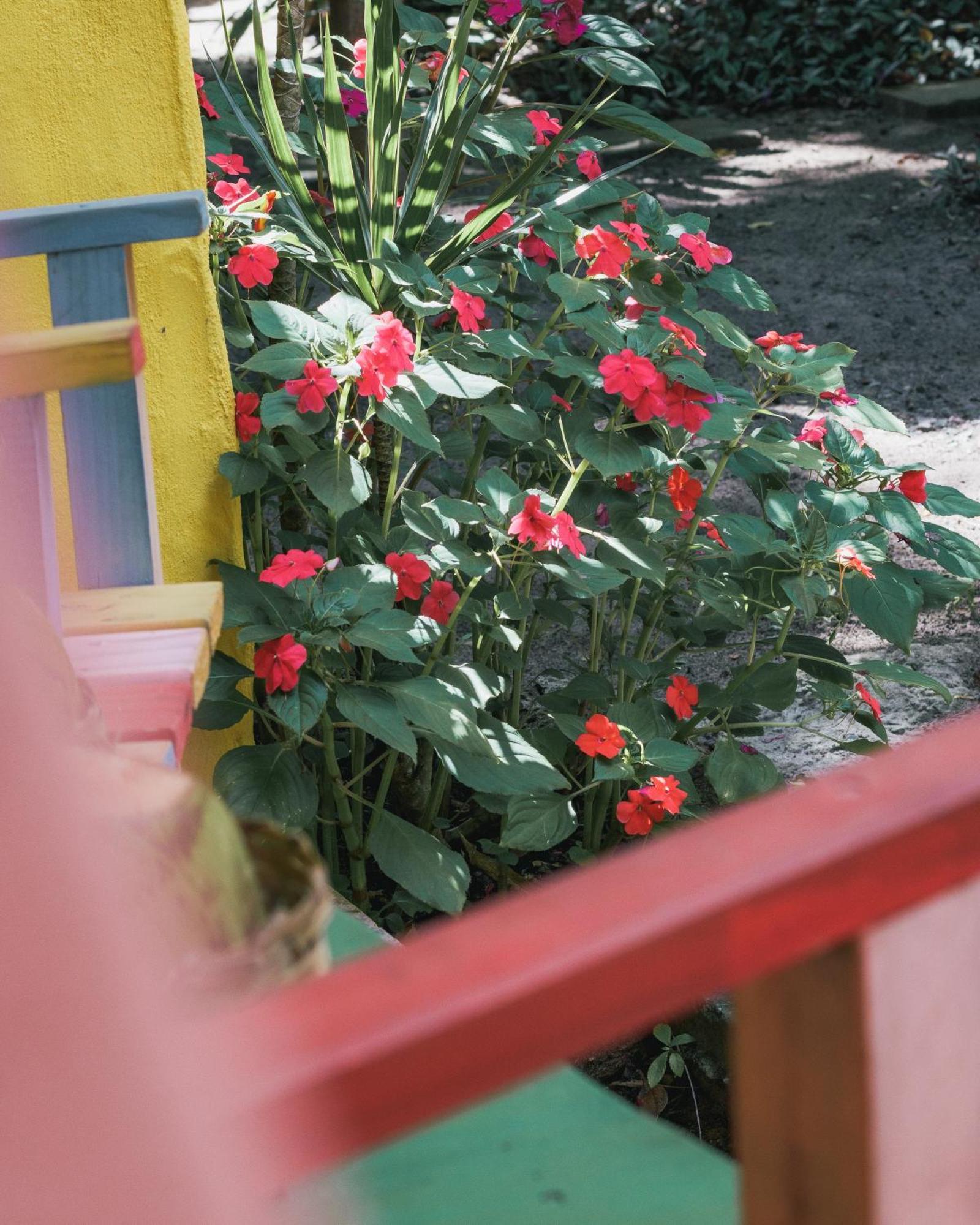 马劳 Butterfly House Bahia酒店 外观 照片